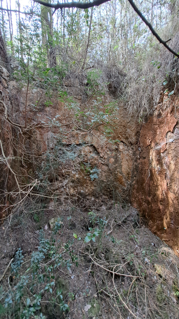 Vista general del seu estat.