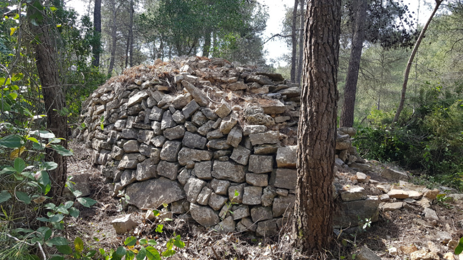 Part posterior de la barraca on s'aprecia l'esfondrament - Foto: Fermín Fernández 