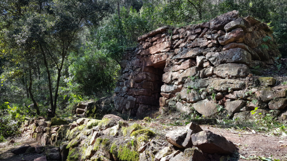 Situació de la barraca. Foto: Fermín Fernández 