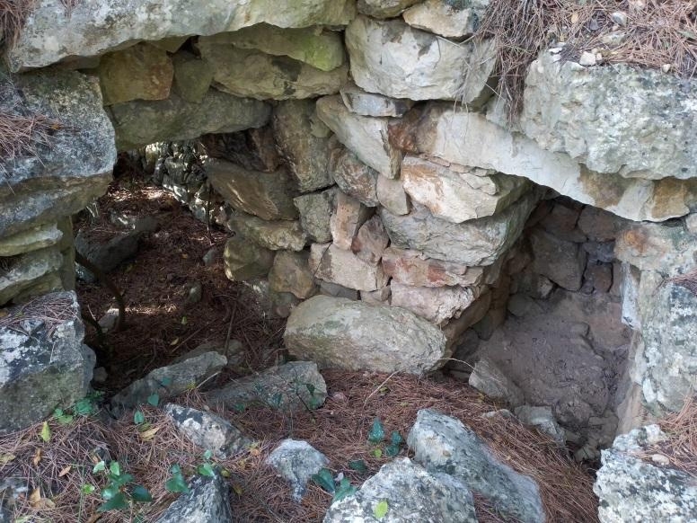 Detall del cocó - Foto: Fermín Fernández 