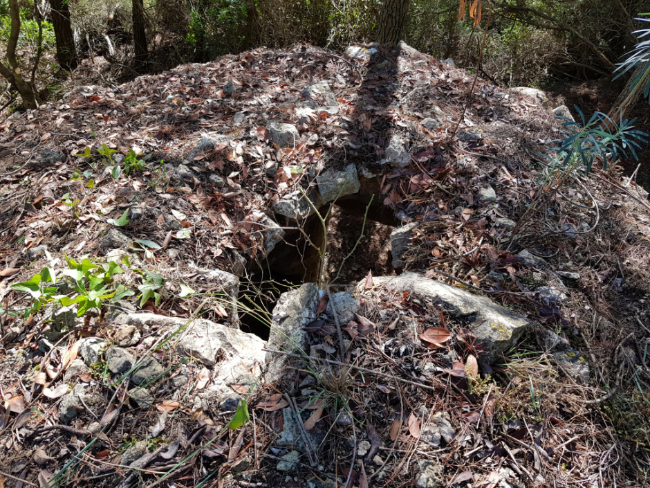 Detall de l'esfondrament - Foto: Fermín Fernández 