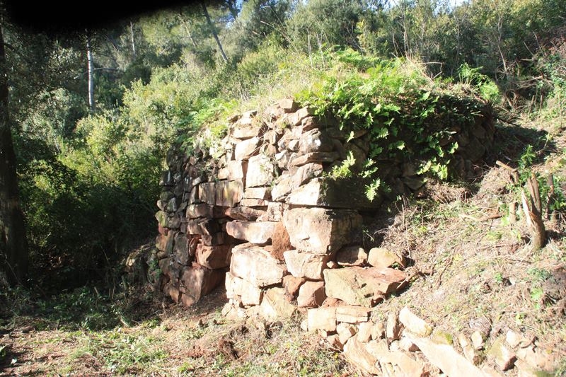 Situació de la barraca - Foto: Fermín Fernández