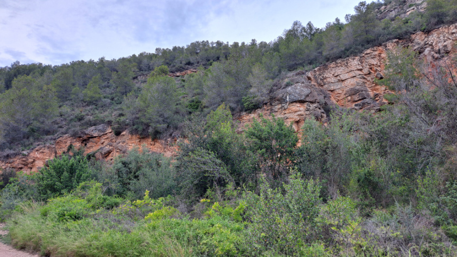 Vista general de la pedrera.