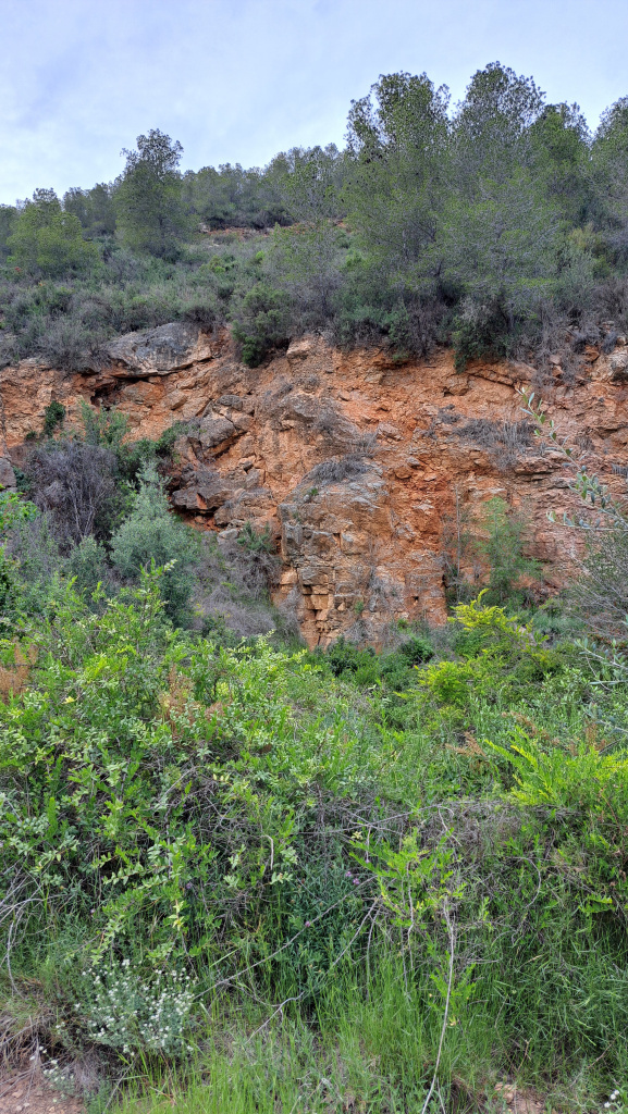 Detall de l'estratigrafia de l'explotació.