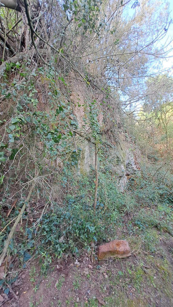Vista general d'ubicació del molí, al costat d'una terrassa al marge dret de la riera de Cervelló.