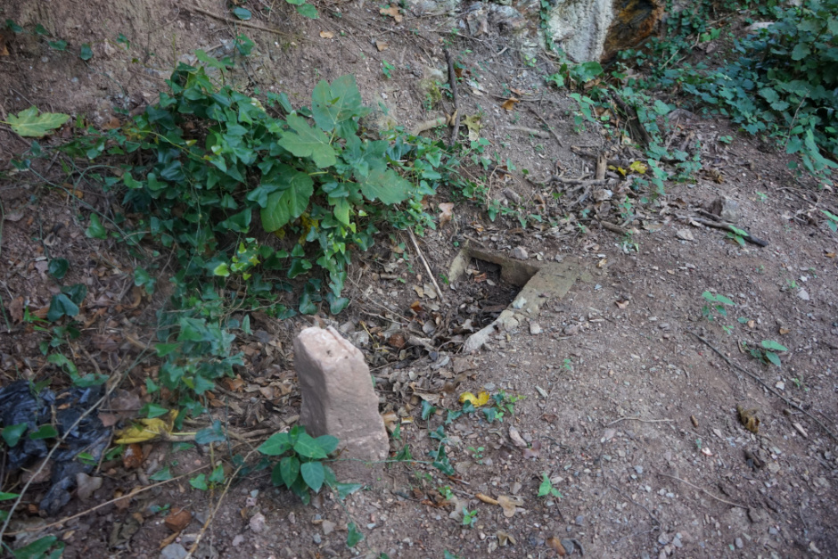 Canalitzacions a terra. Foto: Fermín Fernández.