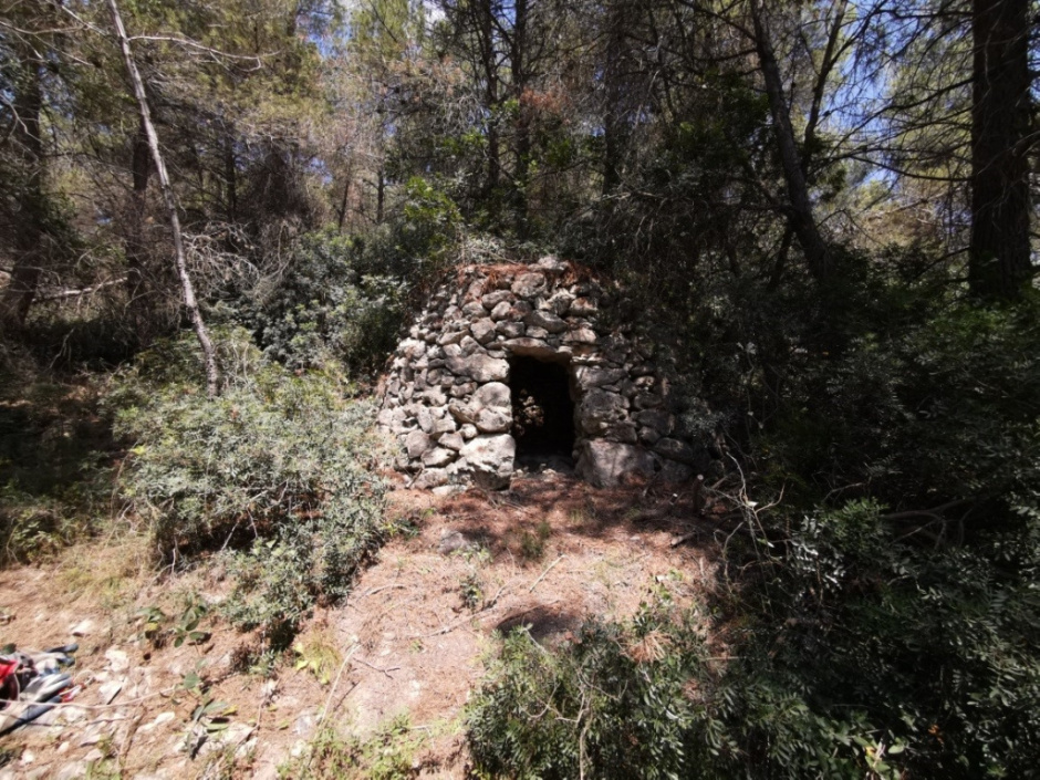 Vista general de la barraca i del seu entorn. Foto: Fermín Fernández