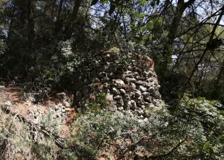 Vista lateral. Foto: Fermín Fernández.