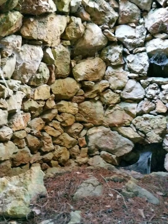 Vista de detall. Foto: Fermín Fernández.