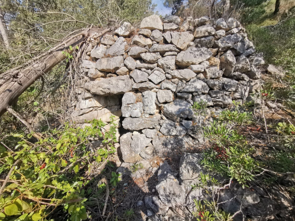 Vista general de la barraca i del seu entorn. Foto: Fermín Fernández
