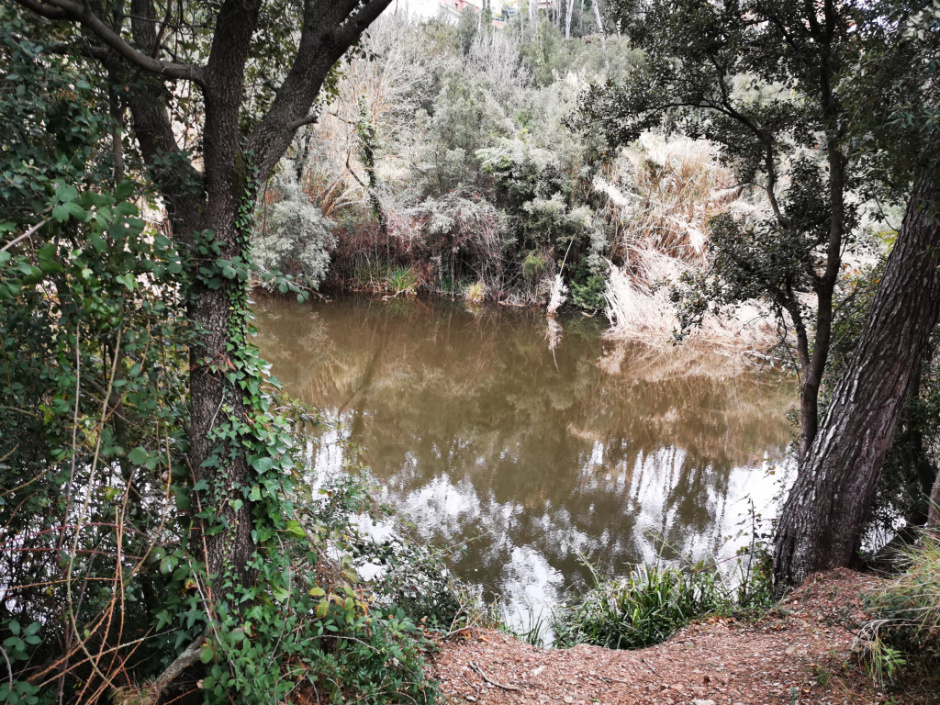 L'embassament envoltat d'una interessant vegetació de ribera. Foto Fermín Fernández.