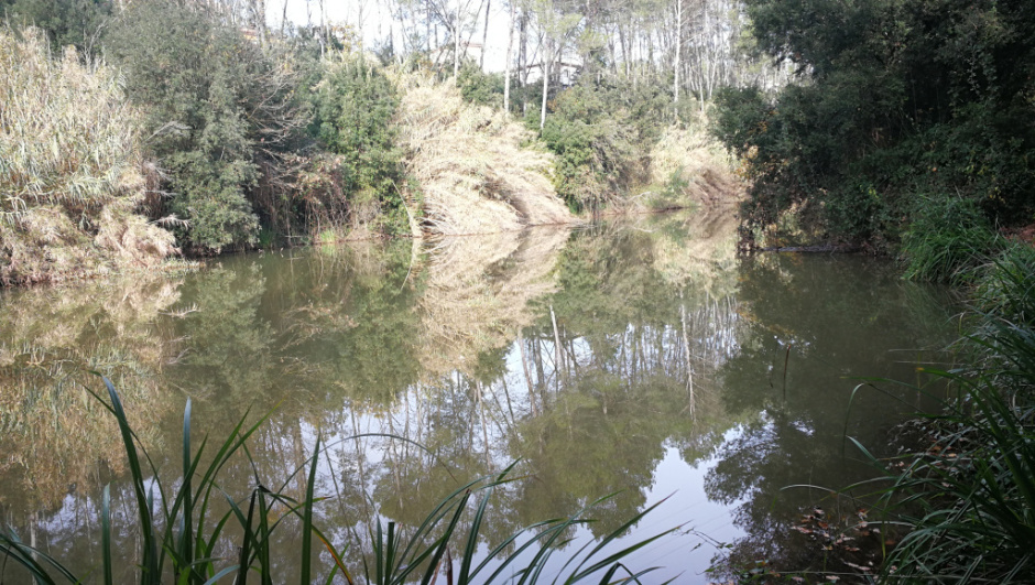 Vista general de l'embassament. Foto Fermín Fernández.