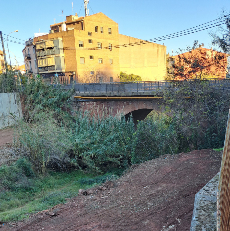 El pont dins la seva ubicació urbana.