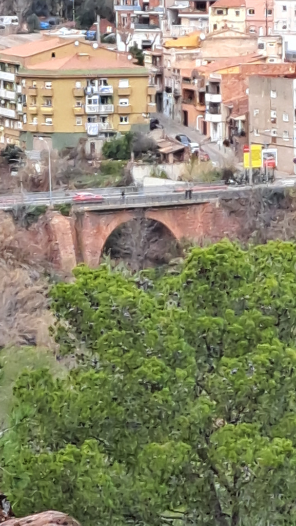 Vista de la dimensió del pont en relació al torrent i les edificacions del voltant.
