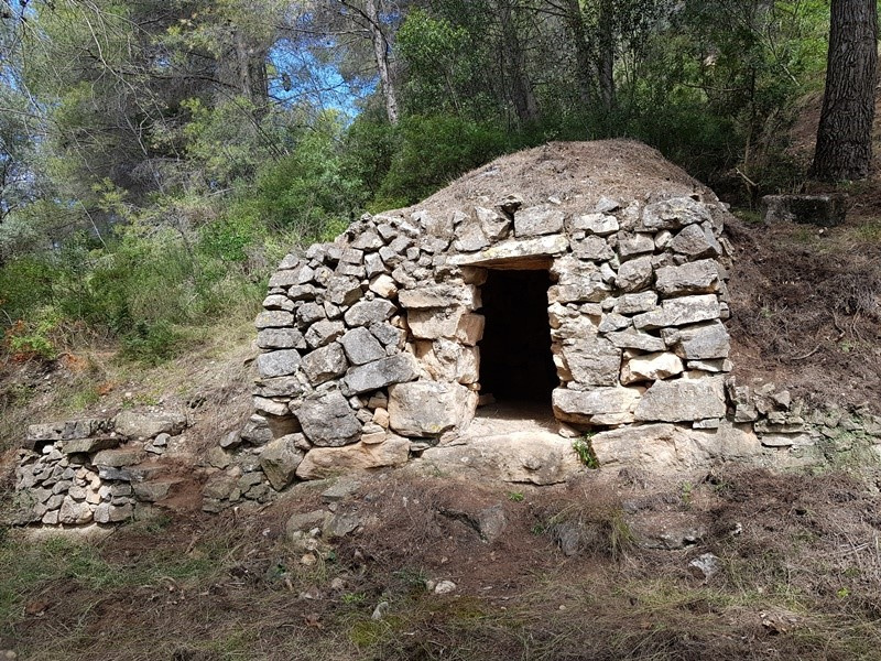Vista general de la barraca i del seu entorn. Foto: Fermín Fernández