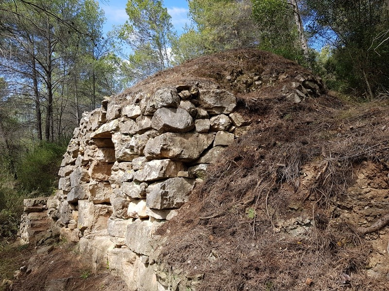Vista lateral. Foto: Fermín Fernández