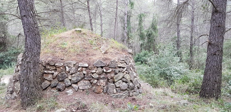 Vista general de la barraca i del seu entorn. Foto: Fermín Fernández