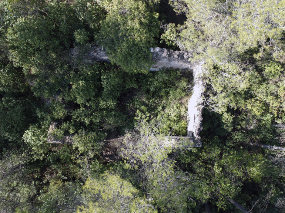 Vista aèria en la qual sen pot apreciar la planta visible en mig d'una abundant vegetació. Foto: Fermín Fernández.