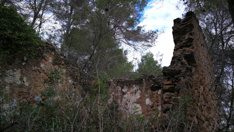 Detall de l'interior amb restes de maons a les parets i revestiment de calç. Foto: Fermín Fernández.