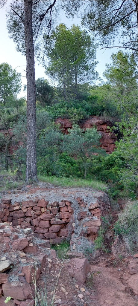Una de les pedreres amb un mur de pedra seca en primer terme.