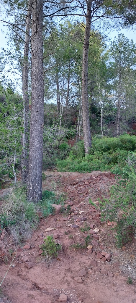 Als voltants de les pedreres, encara són perceptibles els marges de pedra seca del cultiu de vinya en terrasses.
