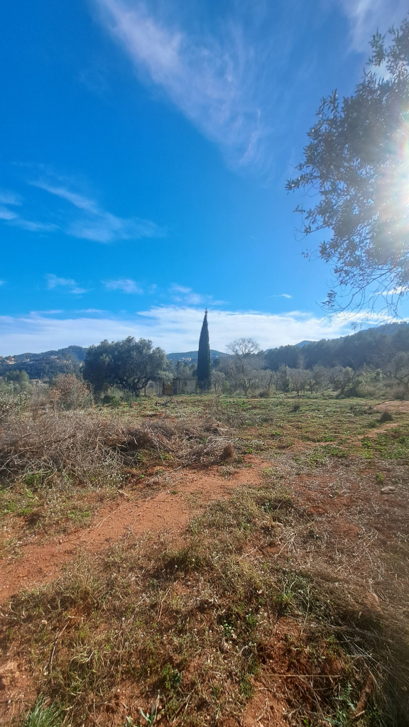 Vista general de la plana