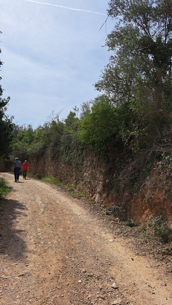 Marge que protegeix una carrerada prop de Sant Ponç 