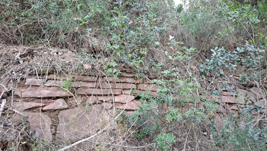 Marge al Torrent Fondo