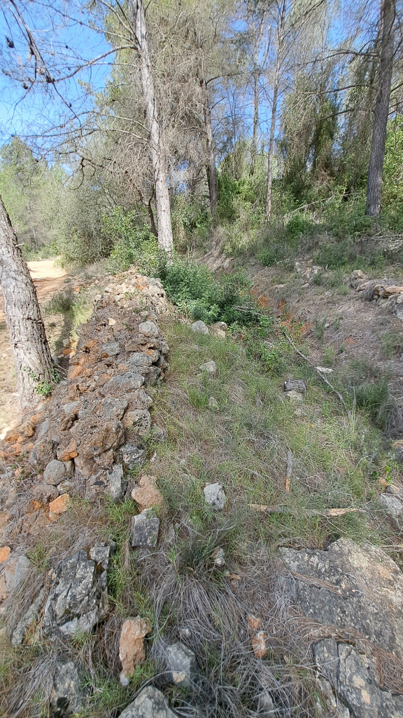 Murs de protecció d'una carrerada a l'Ordal 