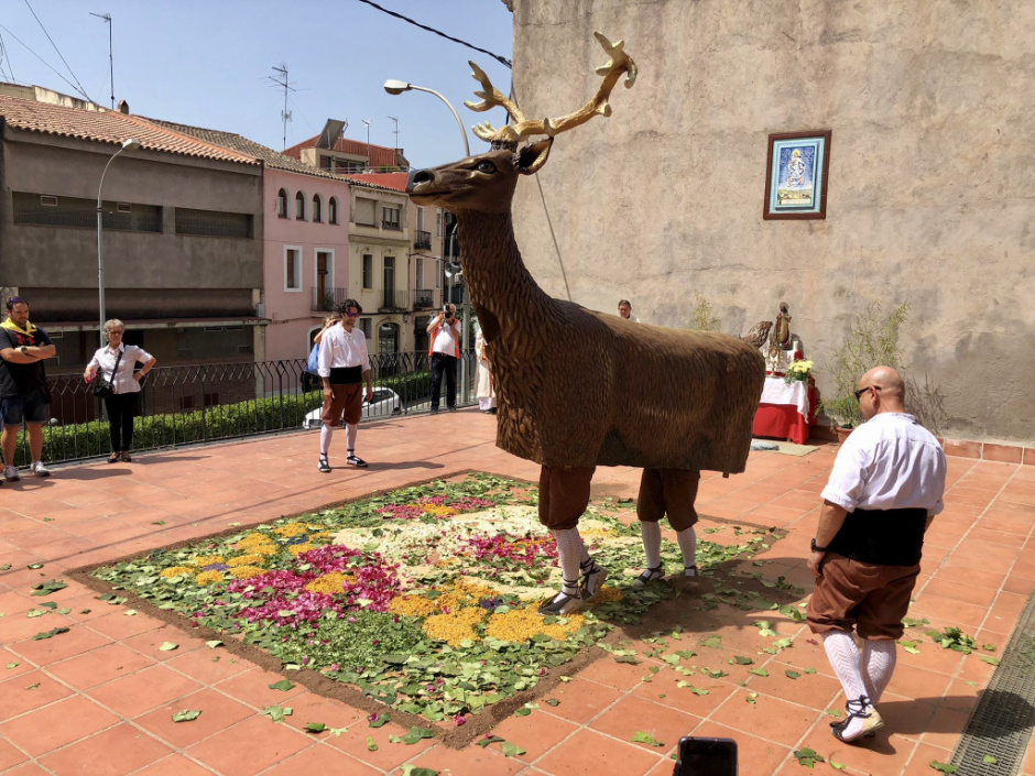 La figura del cérvol acompanya també la festivitat del Corpus. La bèstia trepitjant la catifa floral al davant de l'església de Sant Esteve. Foto: Fermín Fernández.