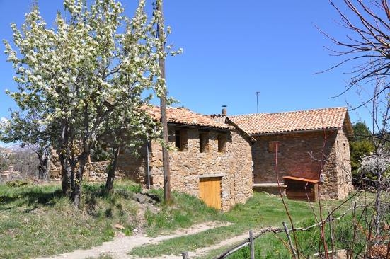 Imatge de cal Cónomo on es troben les restes de ca l'Escolanet a Fígols, molt afectades per la vegetació