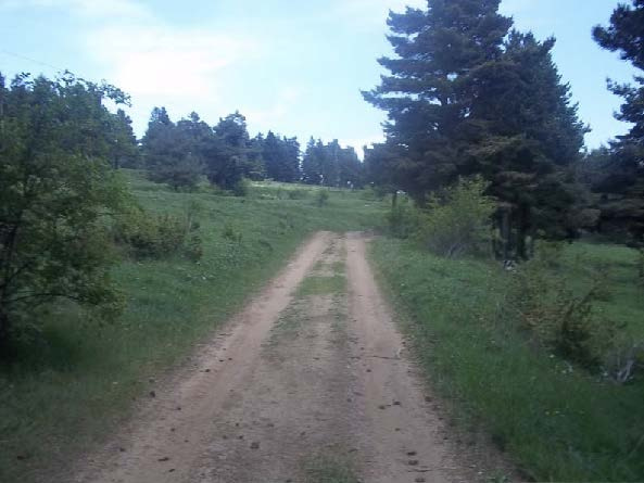 Pista forestal del camí de la Creu de Fumanya