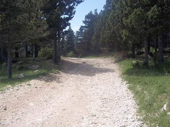 Vista del ferm i pista forestal del camí