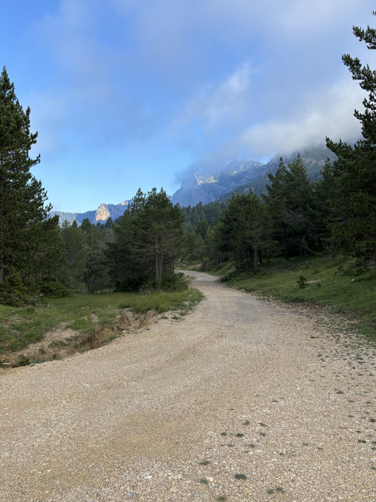 Imatge del camí ral en direcció a Feners