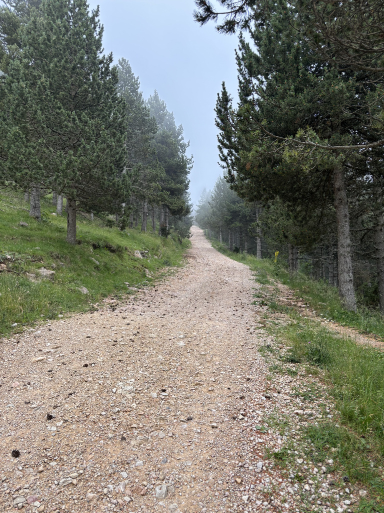 Tram del camí a Rasos de Peguera