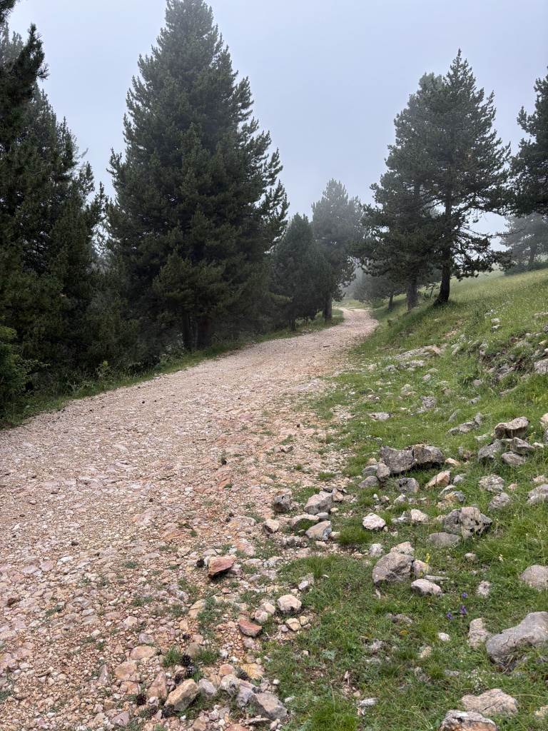 Vista del camí a Rasos de Peguera en direcció a Peguera