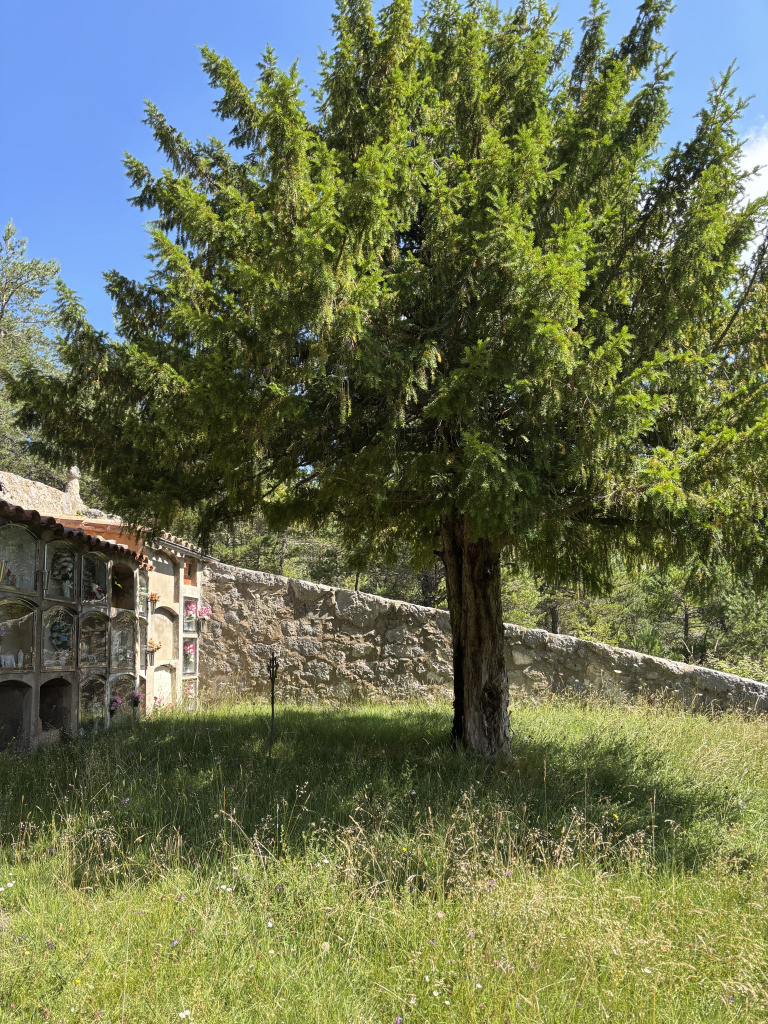 Pati central del cementiri de Fígols