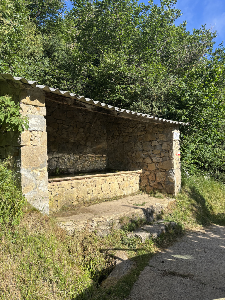 Vista general de la font de cal Coix al costat de la carretera de Peguera-Fígols