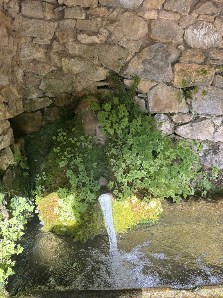 Sortidor d'aigua que alimenta la font