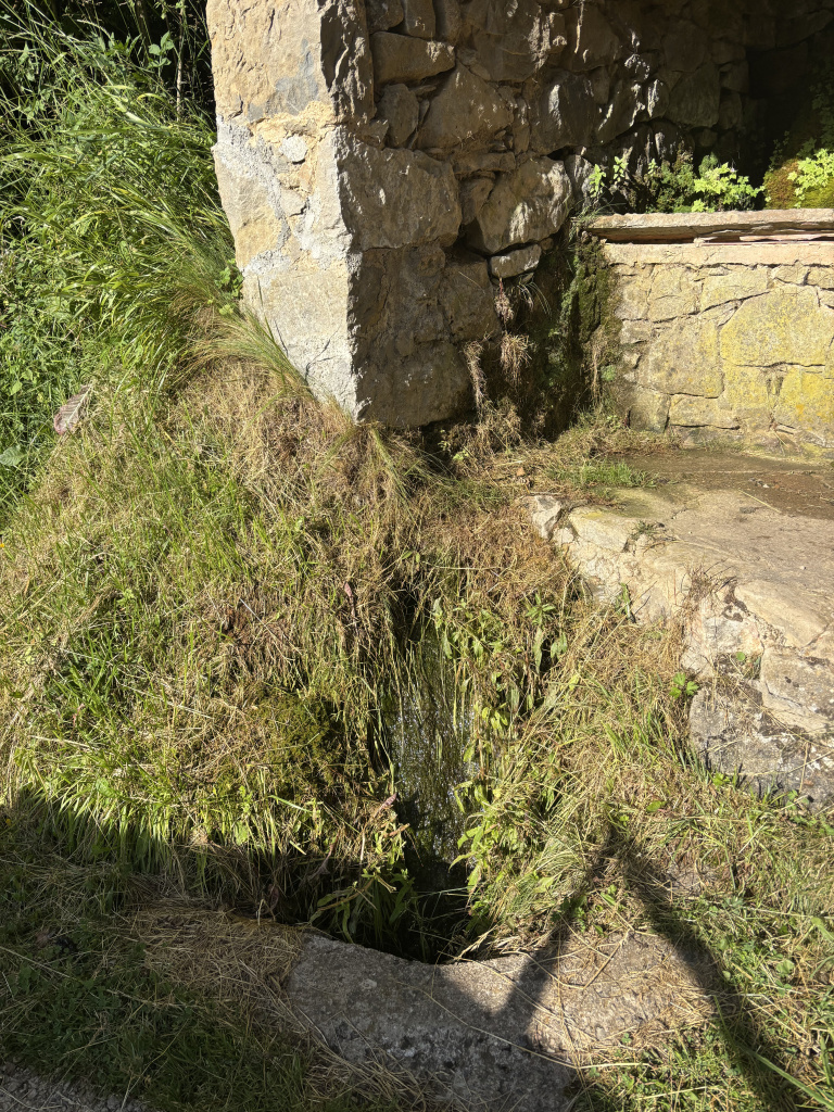 Sortidor d'aigua de la font