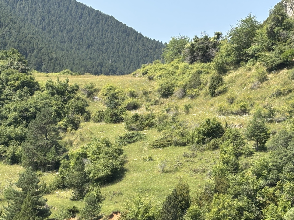 Vista de les restes de cal Coix