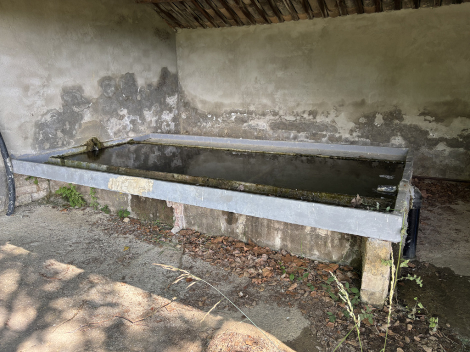 Els rentadors de la font de la Perera