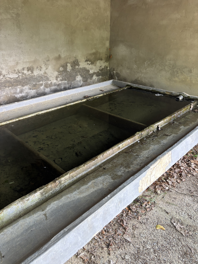 Imatge central dels rentadors de la Perera