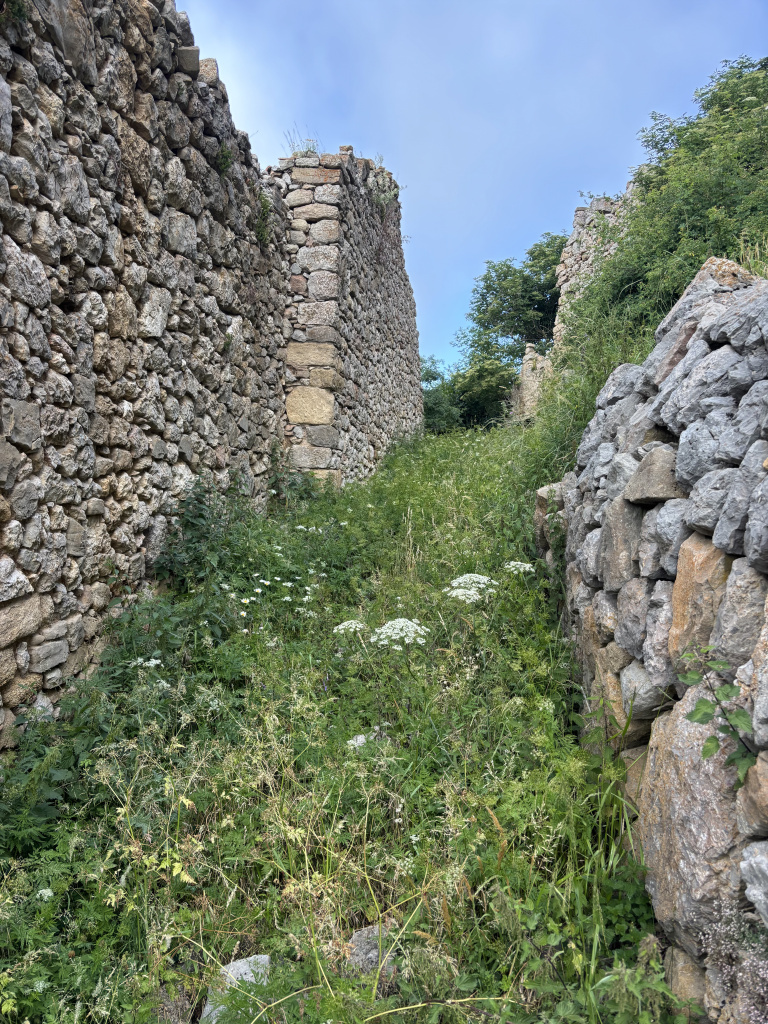 Vista d'un dels antics carrers del poble de Peguera, actualment afectat per la vegetació