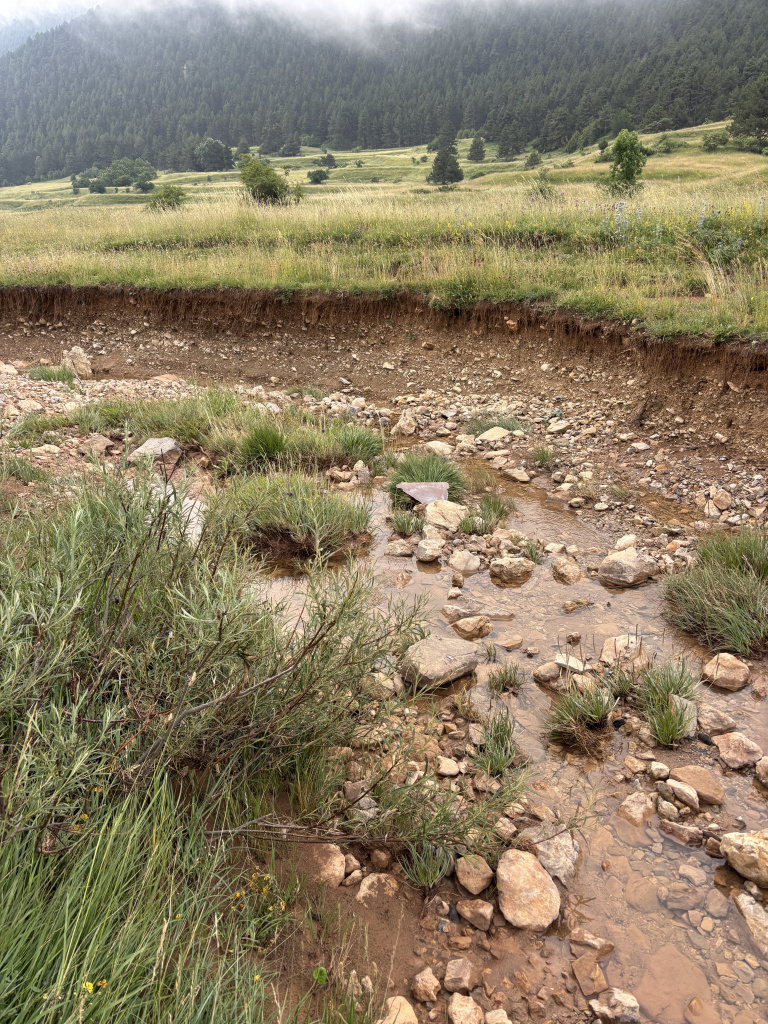 Imatge dels còdols del riera de Peguera