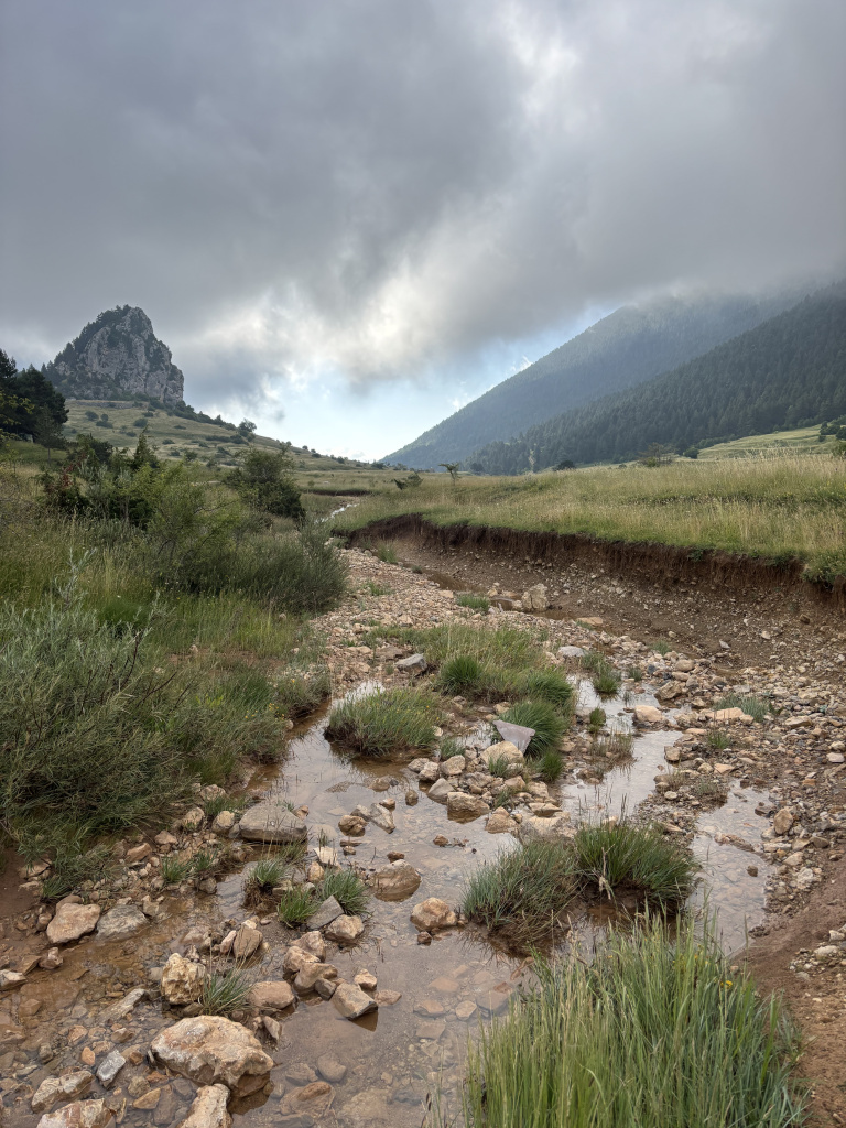 Vista del riera amb la muntanya de Peguera al fons