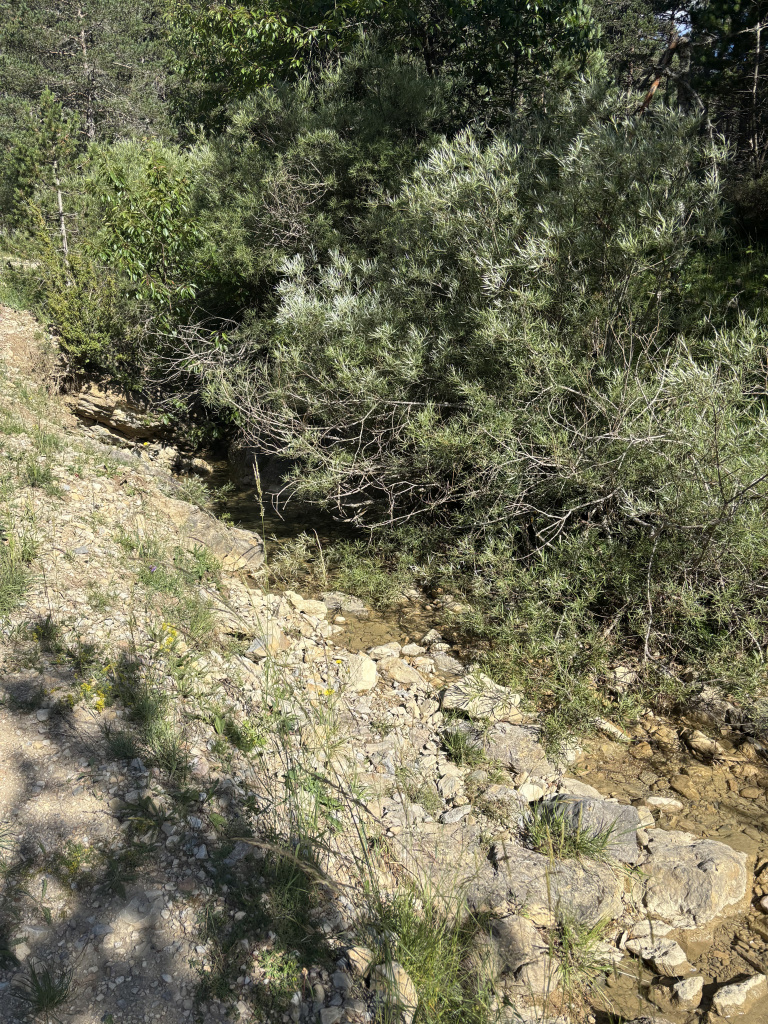 Imatge del Torrent de Fumanya