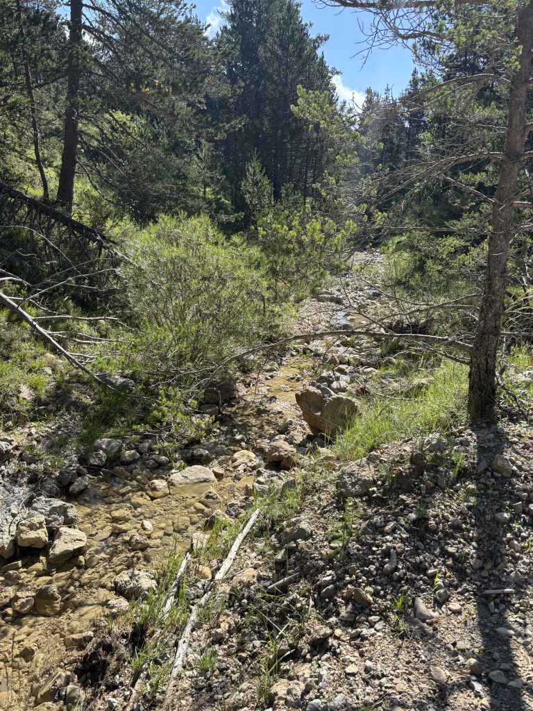 Tram del Torrent de Fumanya