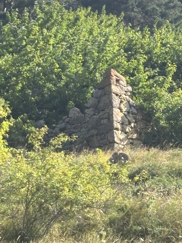 Imatge d'un dels pilars existents de la casa