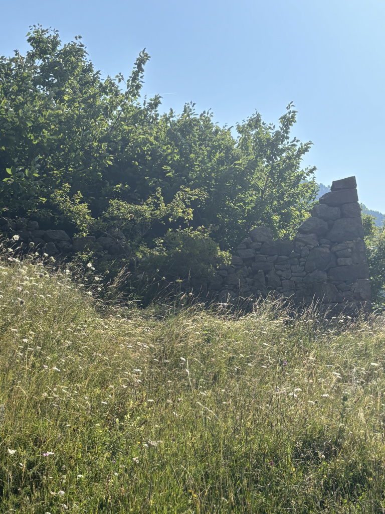 Paret de la casa que encara resta dempeus